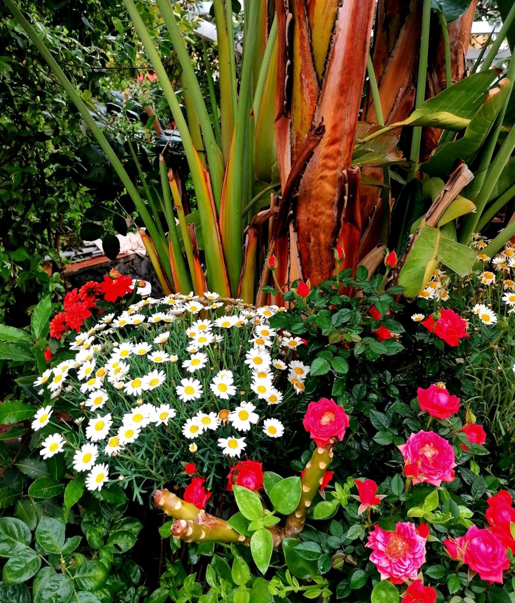 La Foresteria Garden Boutique B&B Catania Exterior foto